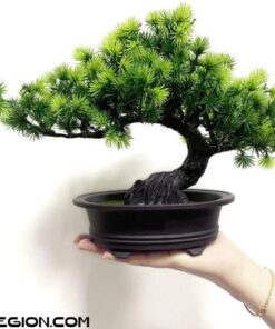 Cây Thông Bonsai giả kèm chậu