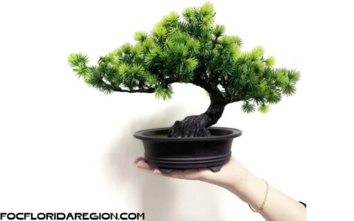 Cây Thông Bonsai giả kèm chậu