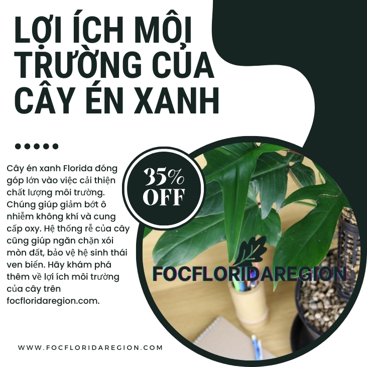 image banner liên kết chương trình tại cây én xanh florida focfloridaregion (2)